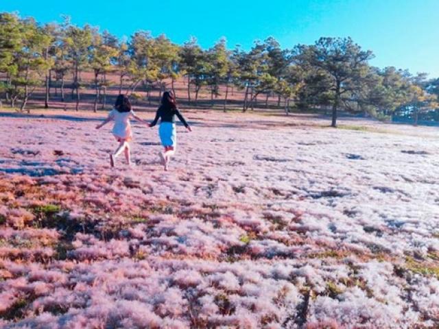 Du lịch - Chuyến du xuân về miền cổ tích ở ngoại ô Đà Lạt