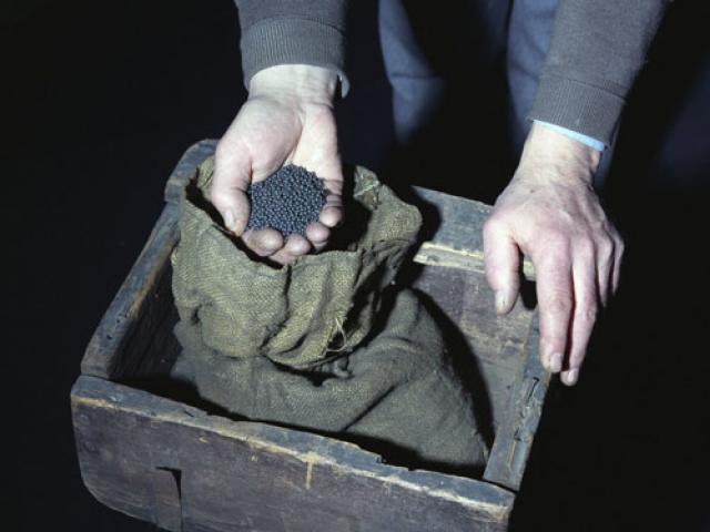 Kế hoạch “trộm long tráo phụng” hoàn hảo trong vụ cướp vàng ở Anh