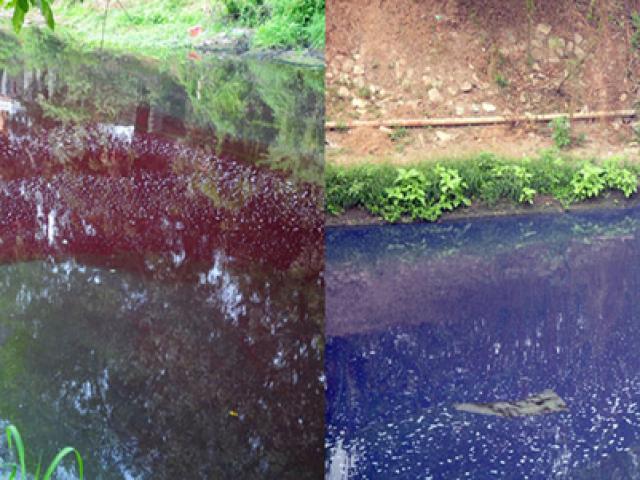 Sông màu đỏ-tím ở Hà Nội: Phạt nặng 5 cơ sở xả thải