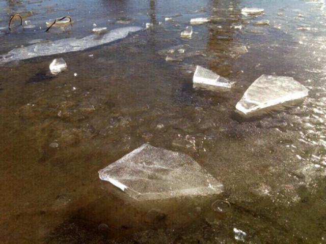 Tin tức trong ngày - Miền Bắc có nơi dưới 5 độ C, khả năng xuất hiện băng giá