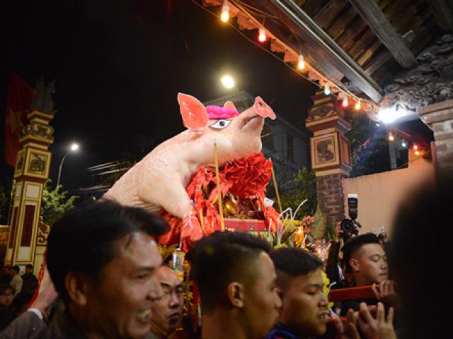 Chật vật rước “ông lợn” khổng lồ tại lễ hội làng La Phù