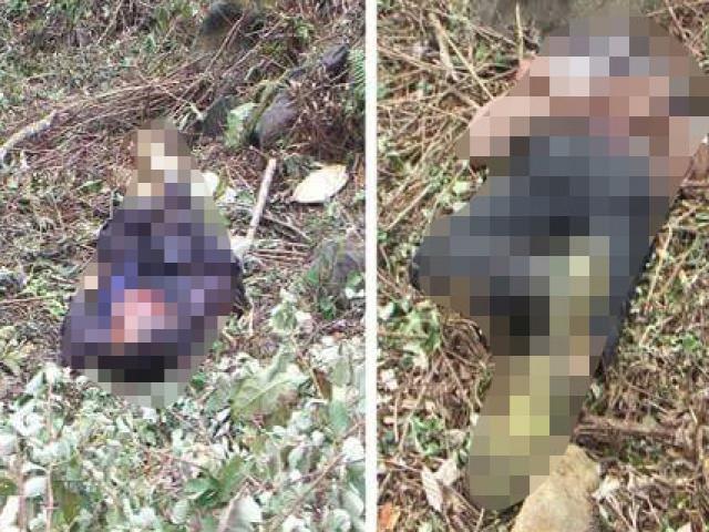 Tin tức trong ngày - Thảm án ở Điện Biên: Giết 3 người một nhà rồi tự tử