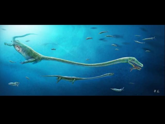 TQ: Tìm ra hóa thạch quái vật biển sống trước khủng long
