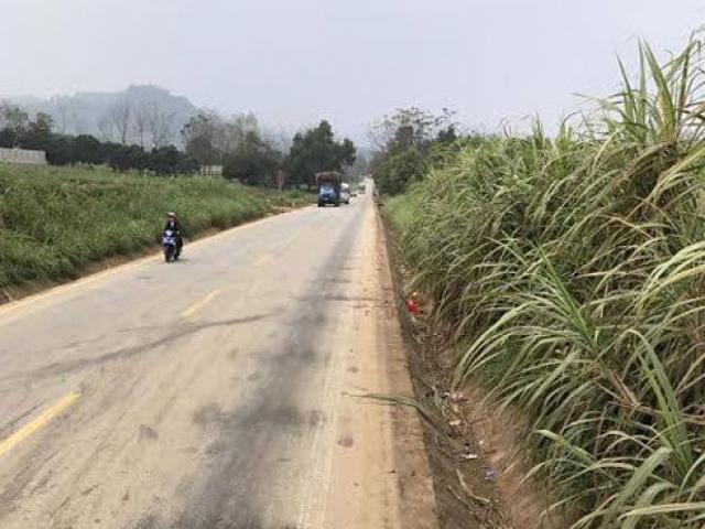 Tin tức trong ngày - 2 xe máy đấu đầu đêm Valentine, 4 người tử vong