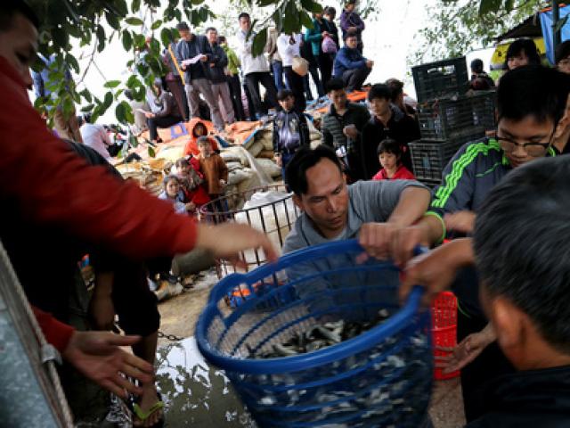 Tin tức trong ngày - Vụ phóng sinh cá chim trắng: Đề nghị Bộ Công an điều tra