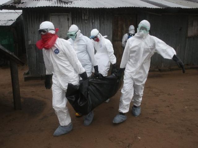 Sức khỏe đời sống - Tìm ra nguyên nhân chính khiến Ebola bùng phát thành đại dịch
