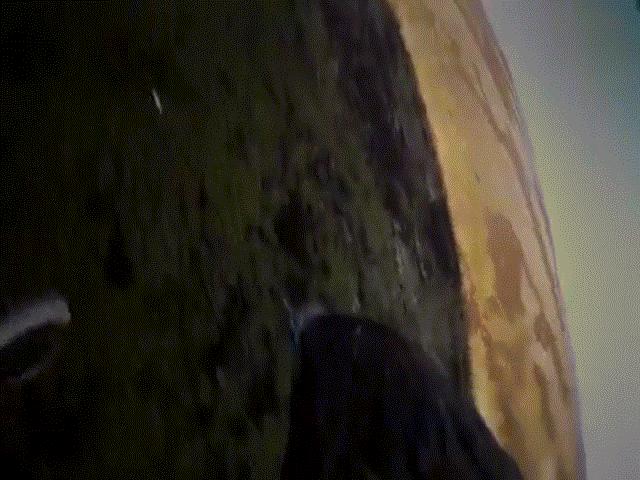 Thế giới - Đại bàng "không kích", tóm gọn thỏ rừng trong chớp mắt