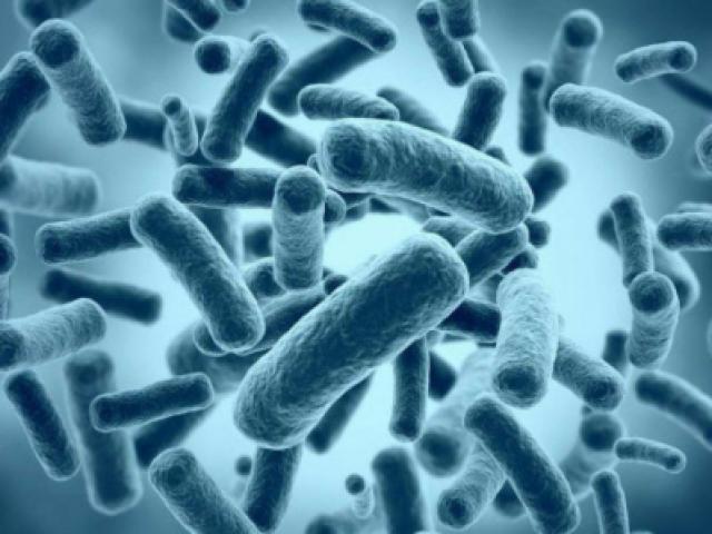 Thế giới - Vi khuẩn sống qua 50.000 năm tại hang động ở Mexico