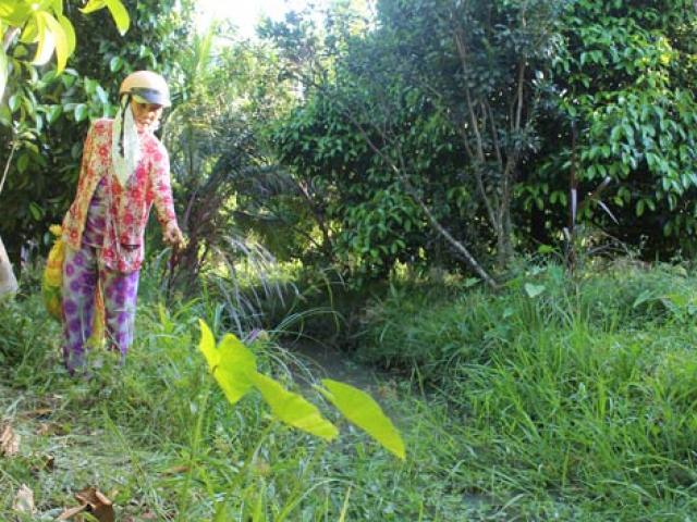 Pháp luật - Bé 10 tuổi bị giết: Lời kể kinh hoàng từ nhân chứng