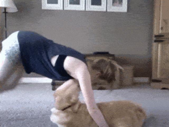 Tranh vui - Chị em "phát điên" với kẻ phá đám đáng ghét