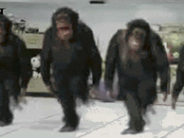 Tranh vui - Ảnh động: Đến "thánh quẩy" cũng phải chào thua