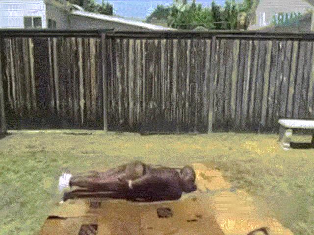 Video Clip Cười - Clip hài: Chết cười với các gã đàn ông "vui tính"