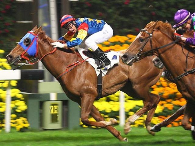 Tài chính - Bất động sản - Ai được kinh doanh đua ngựa, đua chó?