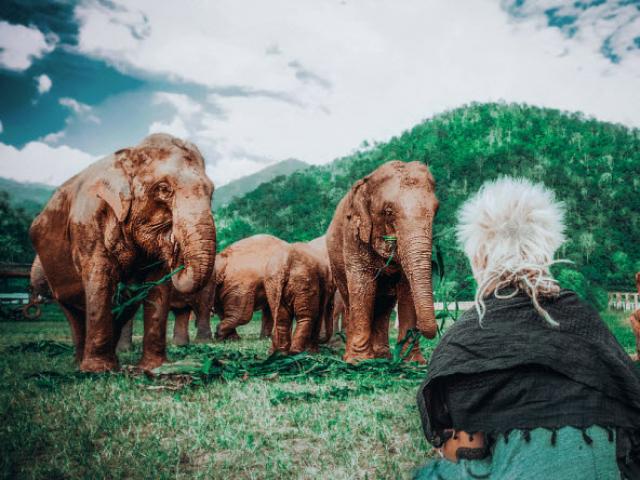 Du lịch - Quên resort xa hoa đi, đến Thái Lan chăn voi mới là "chất"