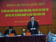 Thị trường - Tiêu dùng - Hàng sạch xuất khẩu, hàng bẩn bán cho dân