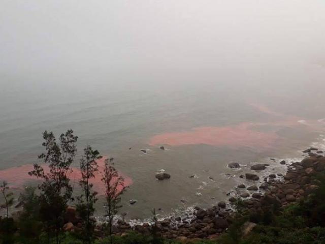 Tin tức trong ngày - Đã "giải mã" dải nước màu đỏ “bí ẩn” ở biển Thừa Thiên – Huế