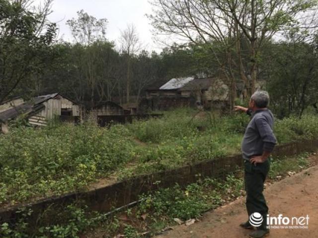 Tài chính - Bất động sản - Chuyện về người thương binh “phá núi, bạt rừng” kiếm tiền tỉ mỗi năm