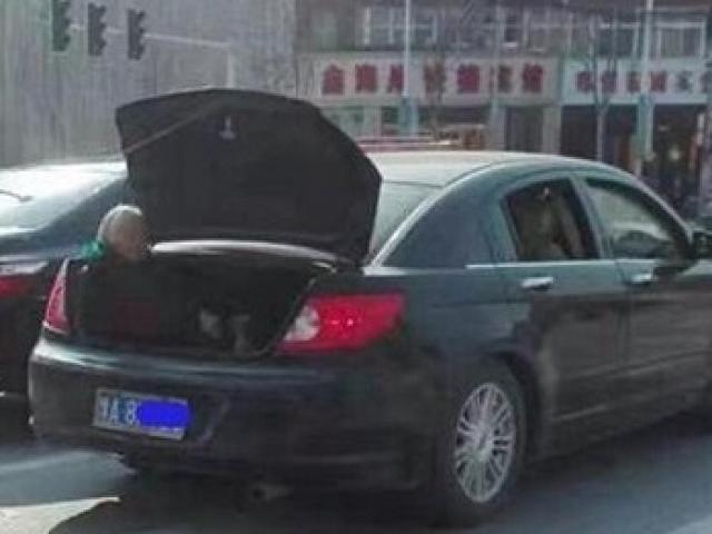 Bạn trẻ - Cuộc sống - Cho mẹ già ngồi cốp xe để dành chỗ chở bạn gái gây phẫn nộ