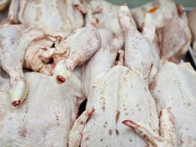 Thị trường - Tiêu dùng - Đùi gà Mỹ nhập về VN rẻ bằng 1/10 giá bán tại Mỹ: Người bán cũng sốc