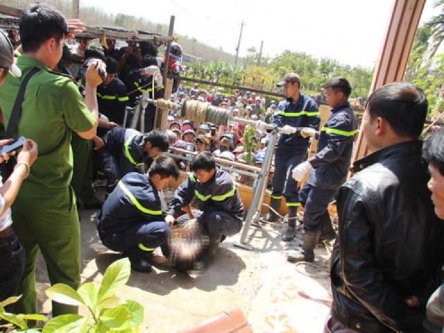 Pháp luật - Chồng nghi tự tử sau khi giết vợ