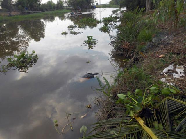 Pháp luật - Phát hiện thi thể người đàn ông nổi lập lờ dưới ao bèo