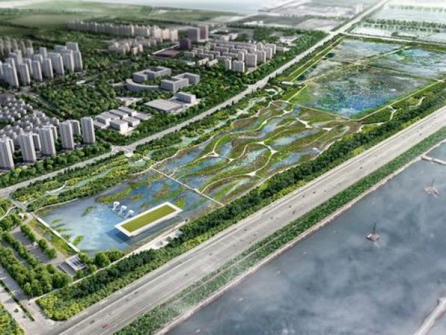 Phi thường - kỳ quặc - TQ sắp xây "sân bay" dành cho chim đầu tiên trên thế giới