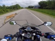 Thế giới xe - Video: Con nai băng qua đường khiến biker không kịp trở tay