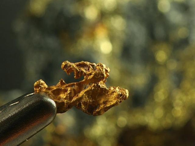 Tài chính - Bất động sản - Giá vàng hôm nay 5/3: Chuyên gia bảo giảm, nhà đầu tư nói tăng