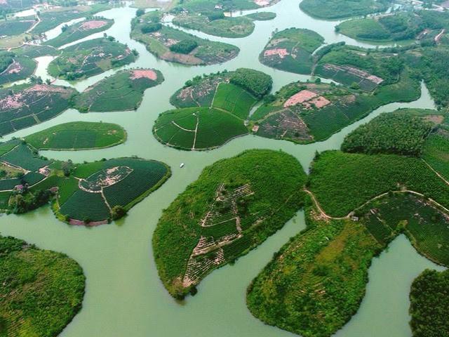 ”Ốc đảo” chè xanh đẹp mê hồn giữa miền Tây xứ Nghệ