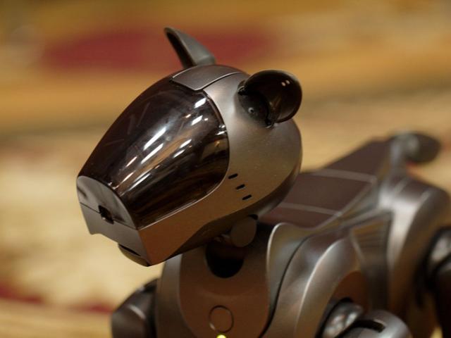 Thế giới - Robot chết liên tục khi thăm dò khu hạt nhân Fukushima