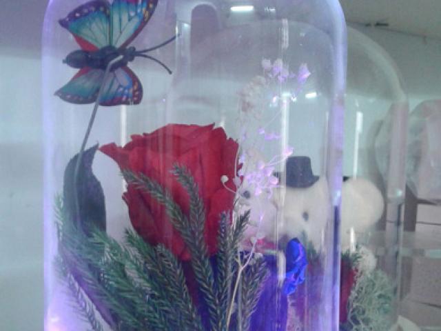 Thị trường - Tiêu dùng - Hoa hồng "bất tử" giá bạc triệu hút khách dịp 8/3