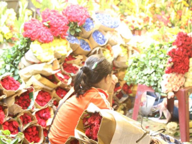 Thị trường - Tiêu dùng - Trước ngày 8-3, chợ hoa Hồ Thị Kỷ có gì hấp dẫn?