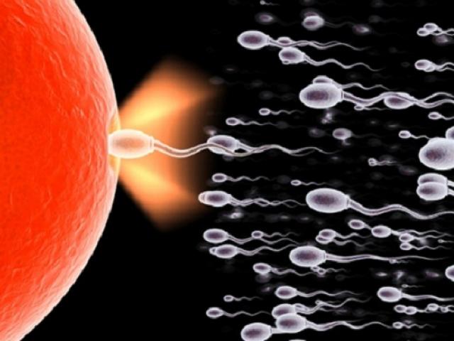 Sức khỏe đời sống - Những điều thú vị bạn có thể không biết về tinh binh