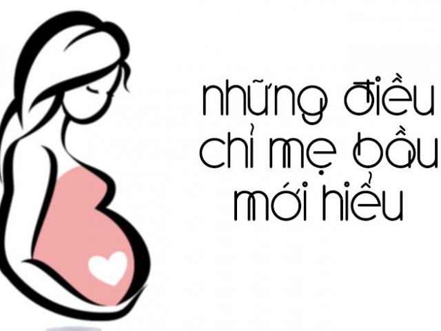 Sức khỏe đời sống - Chùm ảnh: Chỉ mẹ mới hiểu mang bầu "sầu" đến cỡ nào