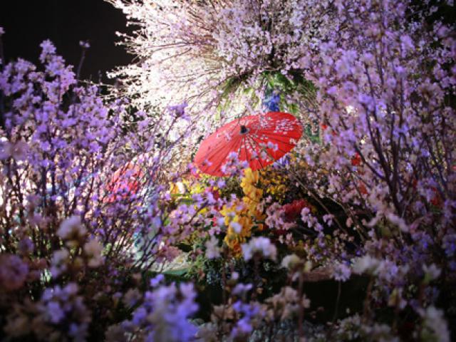 Tin tức trong ngày - “Sứ giả” xinh đẹp của Nhật Bản khoe sắc trong đêm hội khai mạc