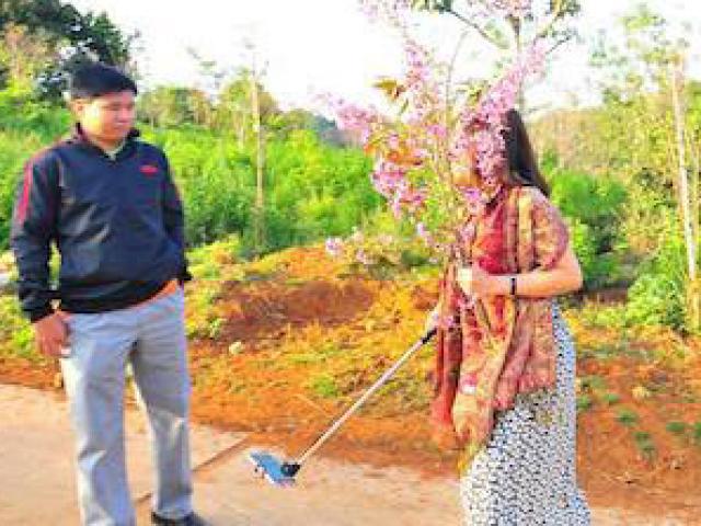 Tin tức trong ngày - Thông tin mới nhất vụ nữ PGĐ Sở bị tố bẻ hoa anh đào