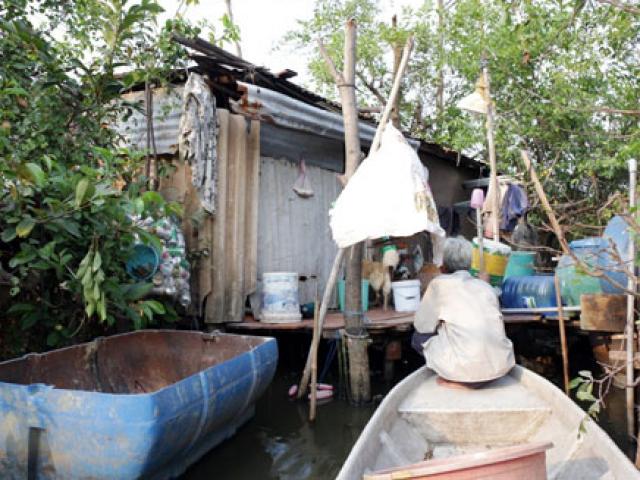 Tin tức trong ngày - Người đàn ông bỏ bạc triệu thuê ốc đảo giữa Sài Gòn, sống đời cô độc