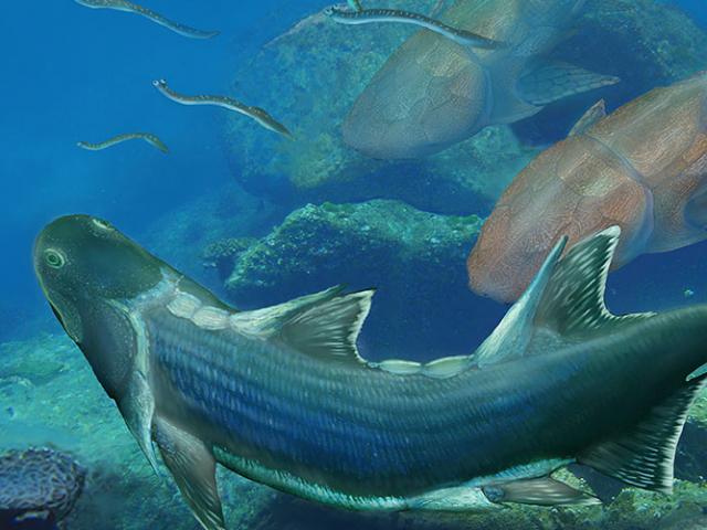 Thế giới - Tìm thấy hóa thạch cá "bọc thép" 420 triệu năm ở TQ