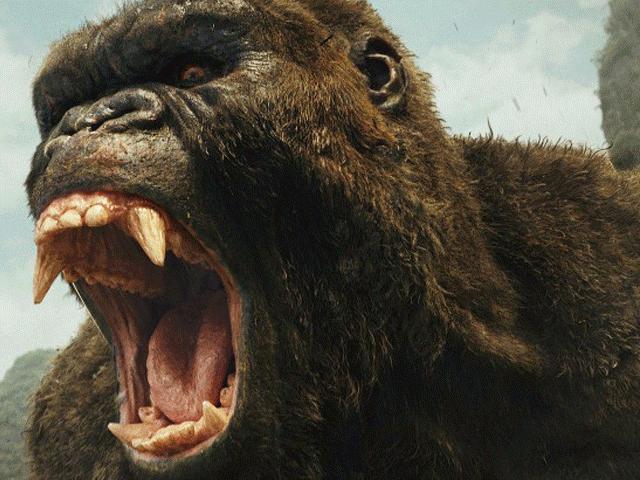 Ca nhạc - MTV - Những sự cố sân khấu kinh hoàng hơn cả vụ cháy "vua Khỉ"