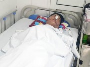 Tin tức trong ngày - Thông tin mới nhất vụ đưa đầu vào miệng cá sấu