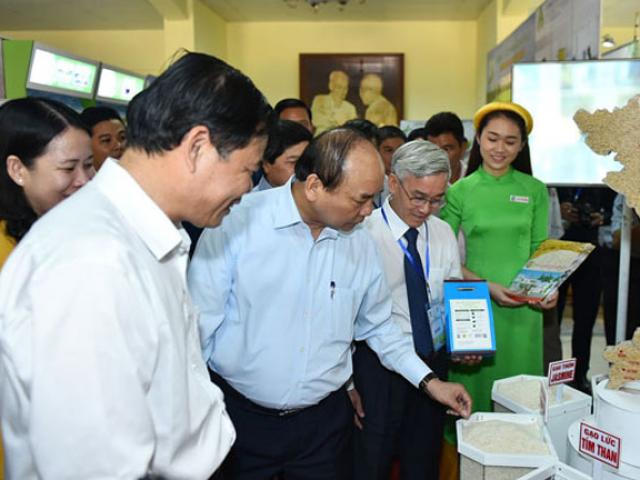 Thị trường - Tiêu dùng - Xâm thực gạo ngoại vào Việt Nam mới đáng sợ