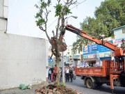 Tin tức trong ngày - Ảnh: Trước và sau 2 tháng ông Đoàn Ngọc Hải xuất quân đi “dẹp loạn” vỉa hè