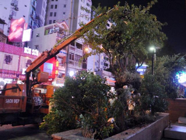 Tin tức trong ngày - Ông Hải tiếp tục “xử” bồn hoa của khách sạn New World