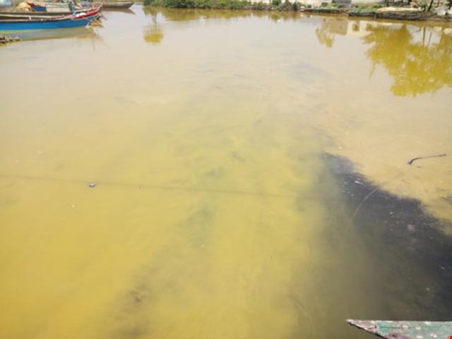 Tin tức trong ngày - Xuất hiện dải nước màu vàng gây ngứa tại cảng Chân Mây
