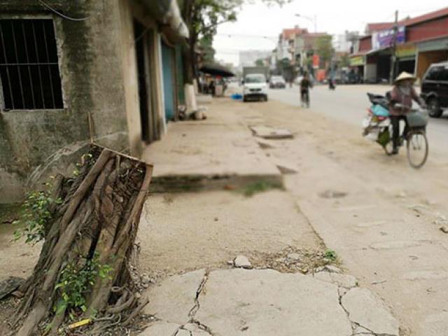 Tin tức trong ngày - Dẹp vỉa hè, chặt luôn cây xanh: Điều kì lạ trên quốc lộ 32