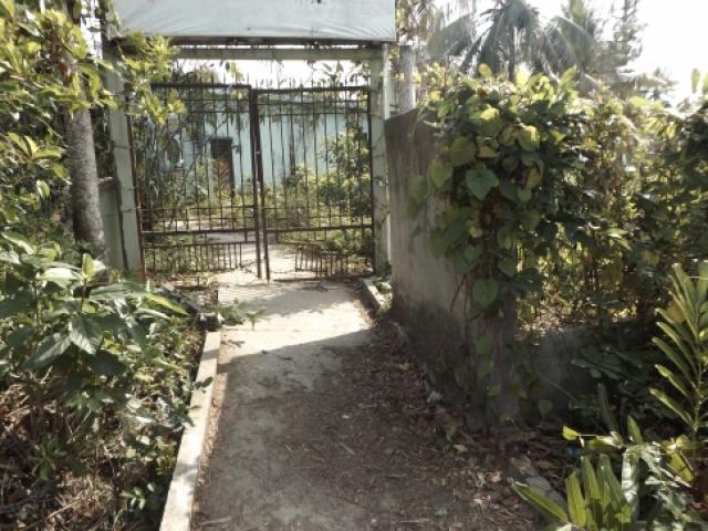 Tin tức trong ngày - Phát hiện thi thể bên đường trong tư thế quỳ gối