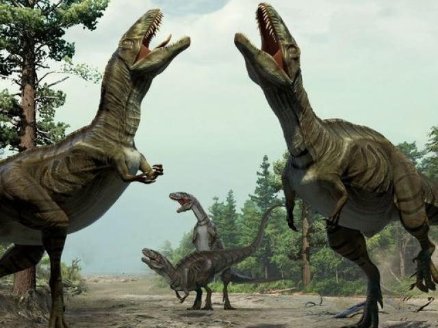 Thế giới - Tìm ra dấu chân khủng long nhiều chưa từng thấy ở Úc