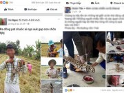 Tin tức trong ngày - Xẻ thịt mèo đăng Facebook: Tổ chức Động vật châu Á lên tiếng