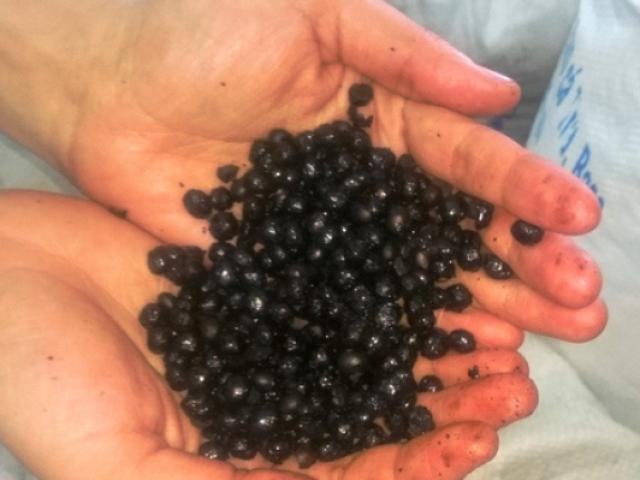 Thị trường - Tiêu dùng - Hơn nửa tạ cà phê làm từ đậu nành rang cháy chở về Nghệ An tiêu thụ