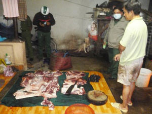 Tin tức trong ngày - Lò mổ heo lậu dọa nhốt đoàn kiểm tra